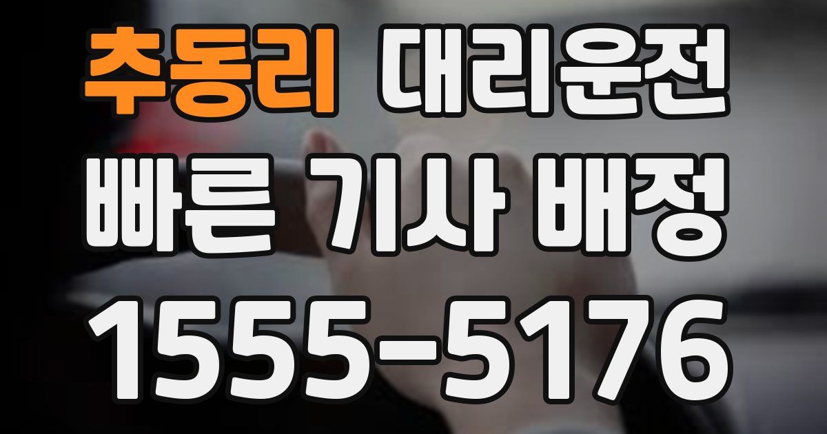 일일대리기사
