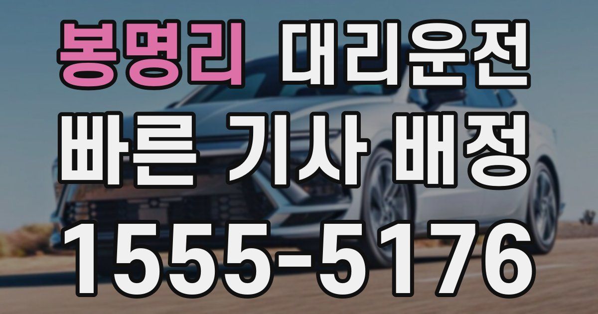 일일대리기사