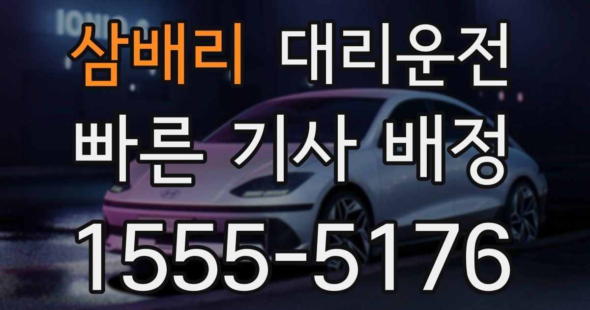 일일대리기사