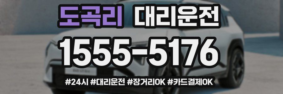 도곡리 대리운전