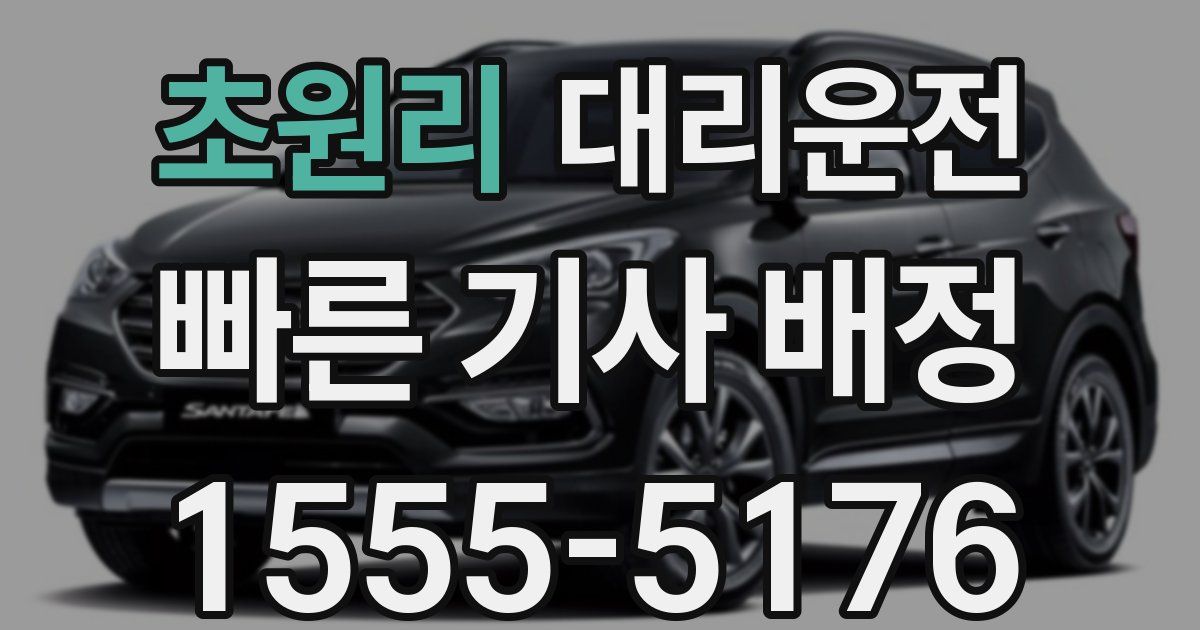 일일대리기사