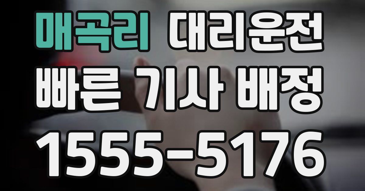 일일대리기사