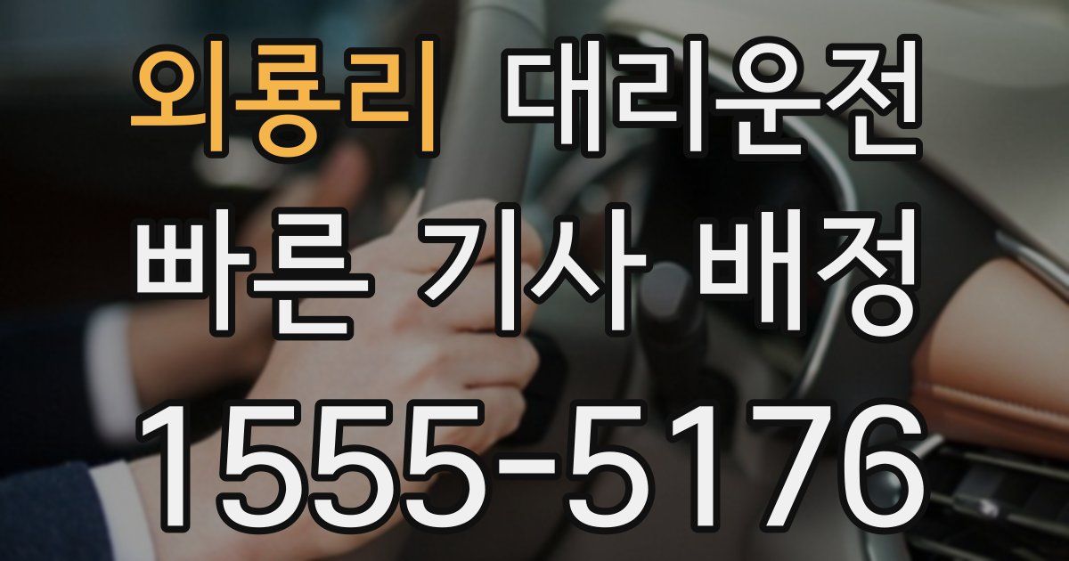 일일대리기사