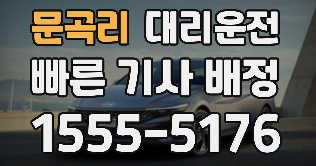 일일대리기사