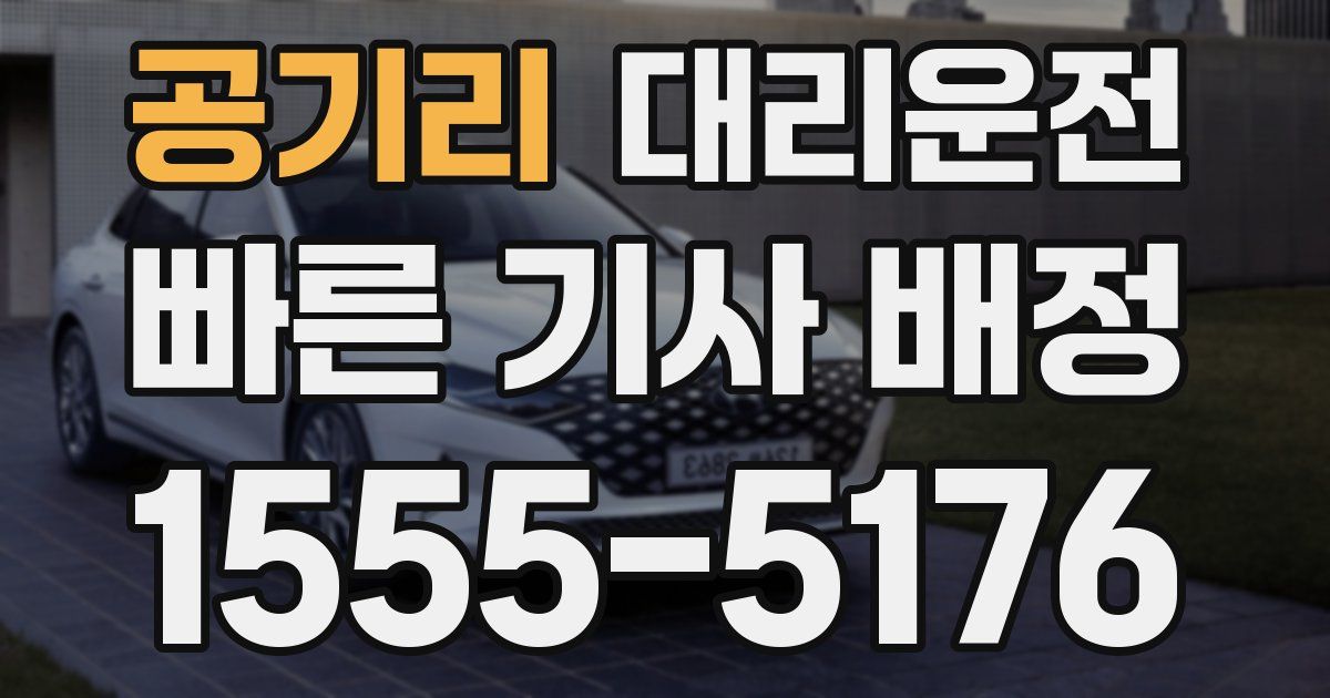 일일대리기사