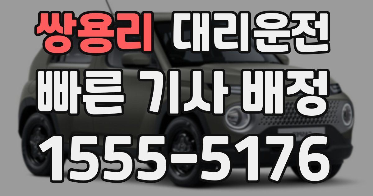일일대리기사