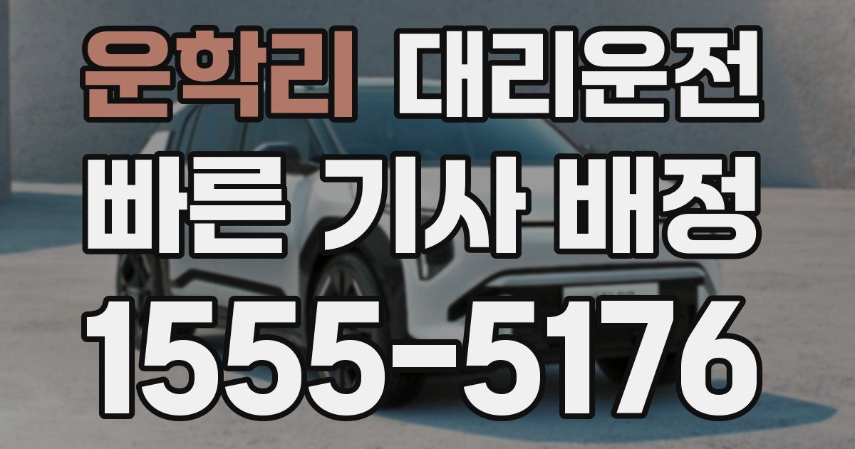 일일대리기사