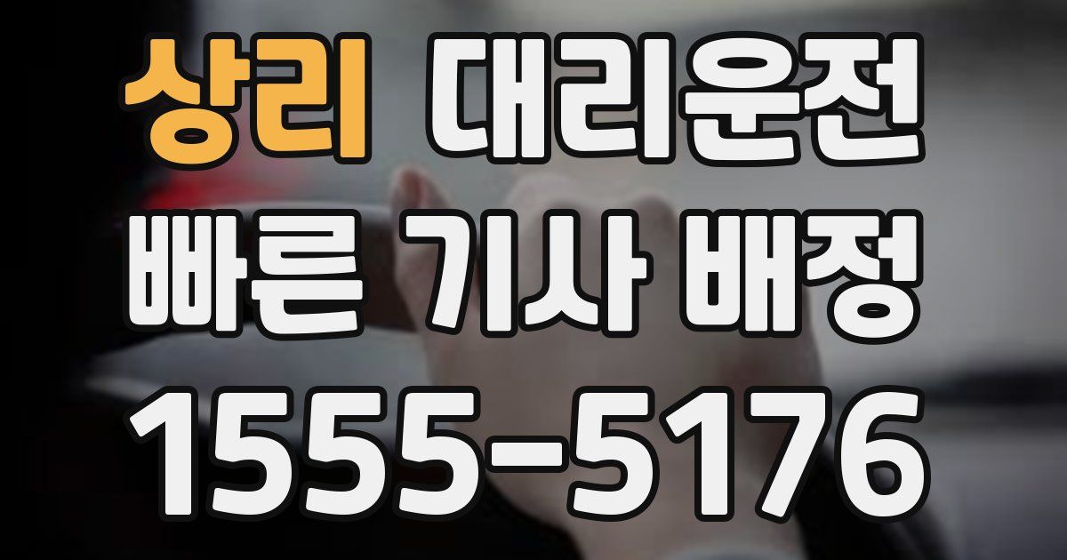 일일대리기사