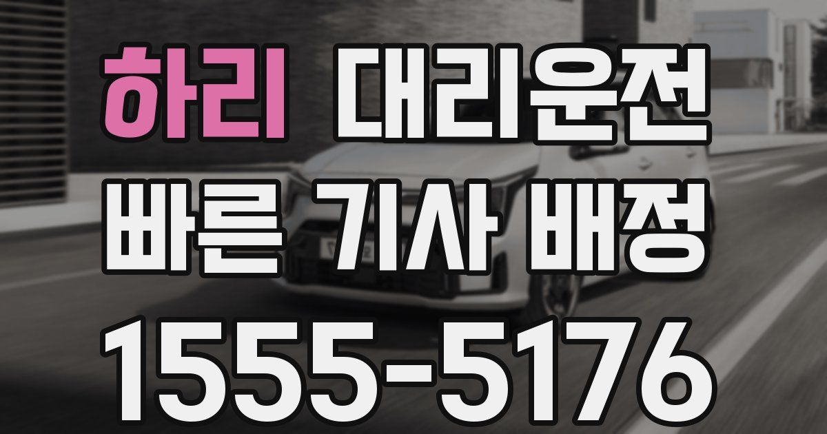 일일대리기사