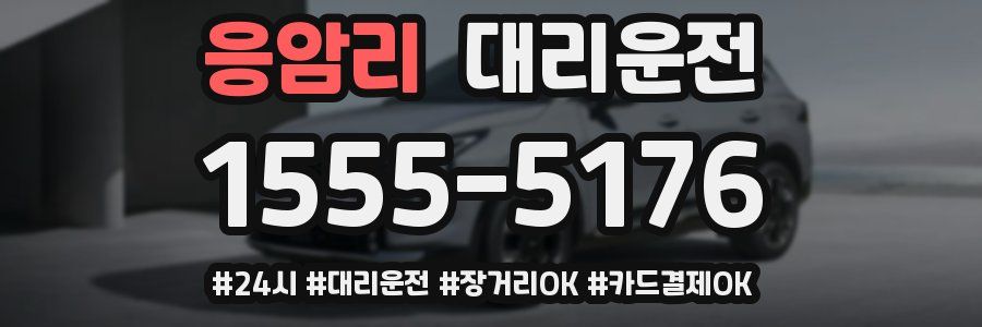 응암리 대리운전