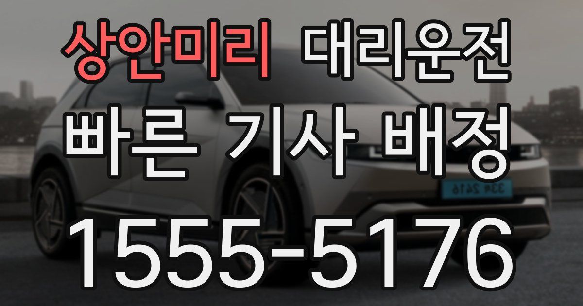 일일대리기사