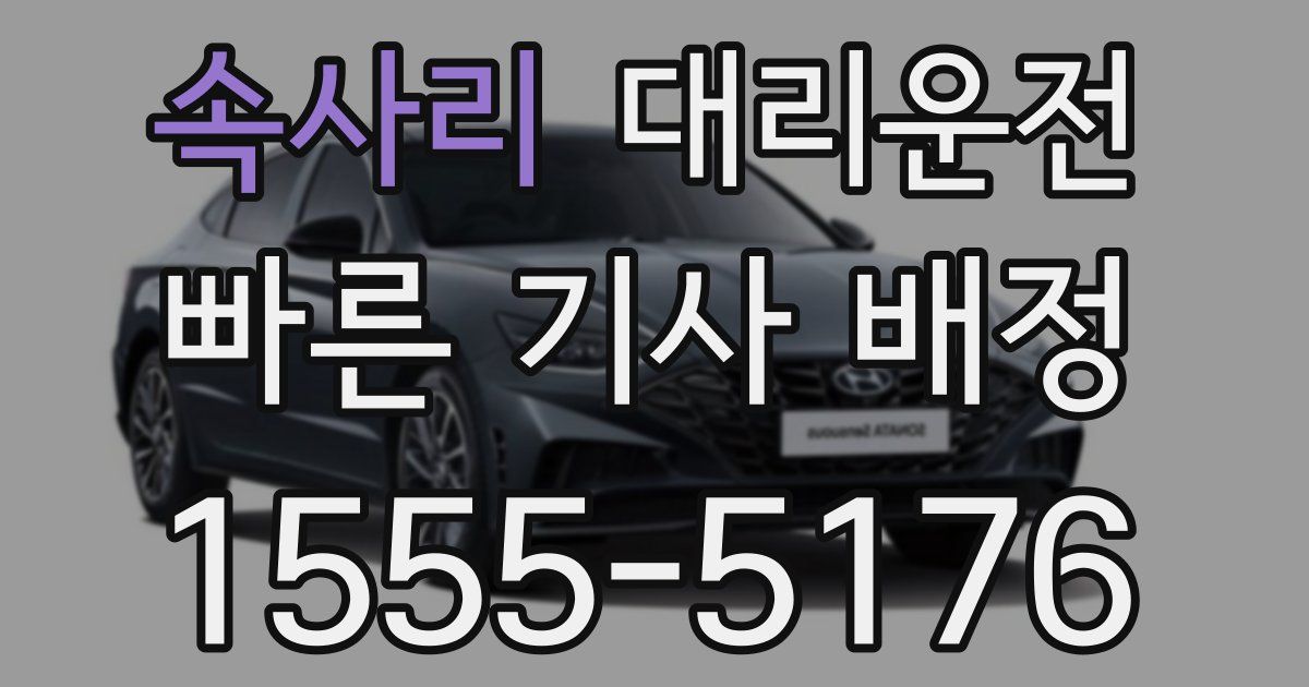 일일대리기사