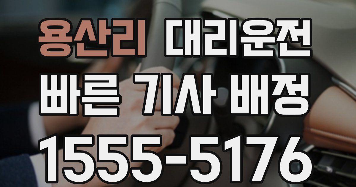 일일대리기사