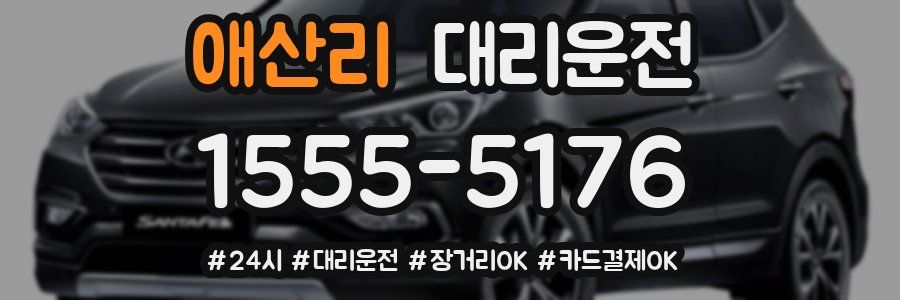 애산리 대리운전
