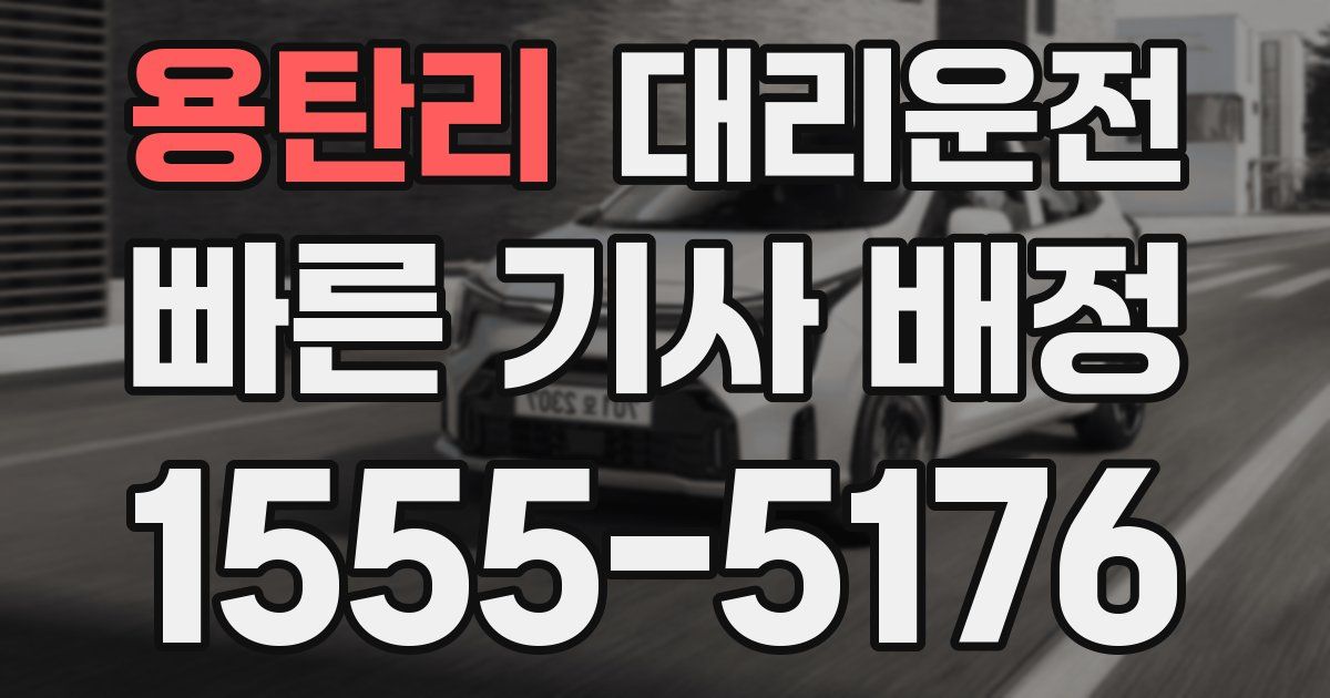 일일대리기사