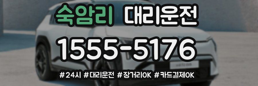 숙암리 대리운전