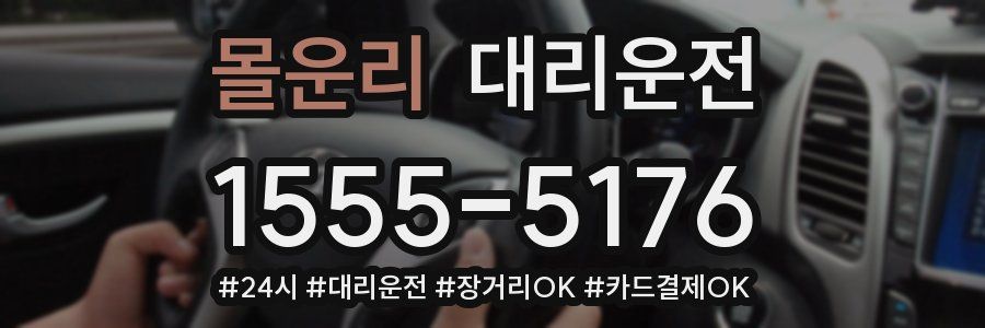 몰운리 대리운전