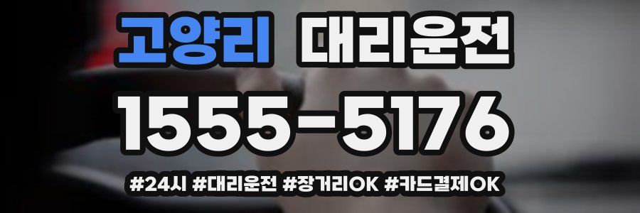 고양리 대리운전