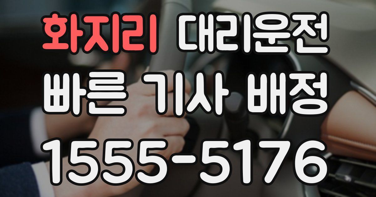 일일대리기사