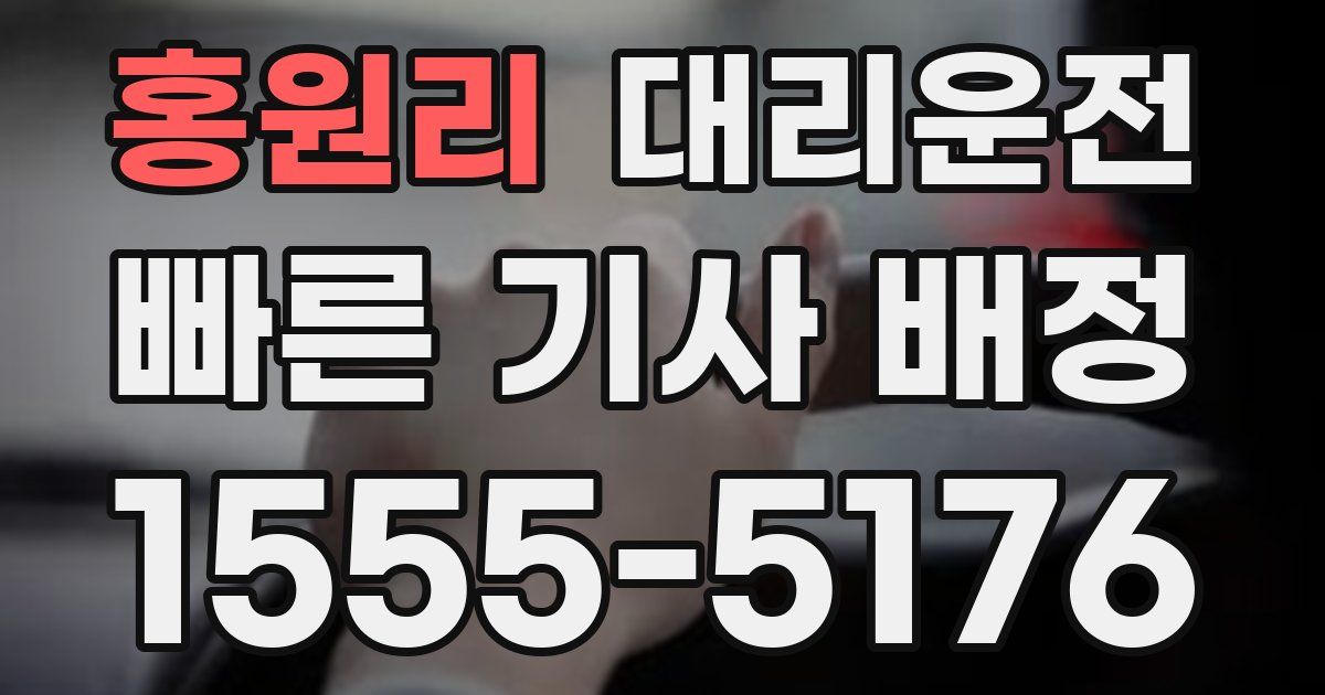 일일대리기사