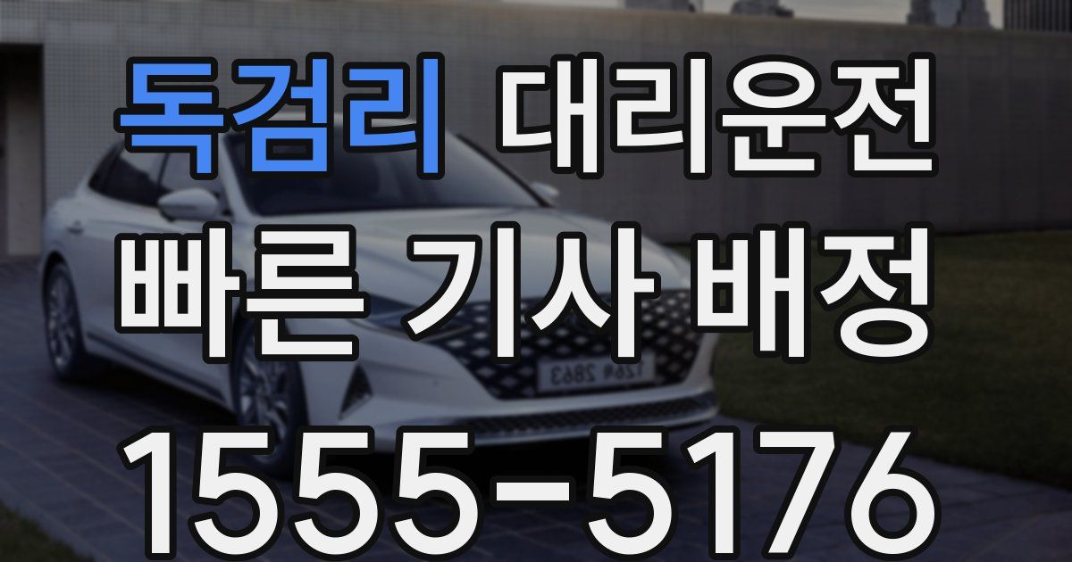 일일대리기사