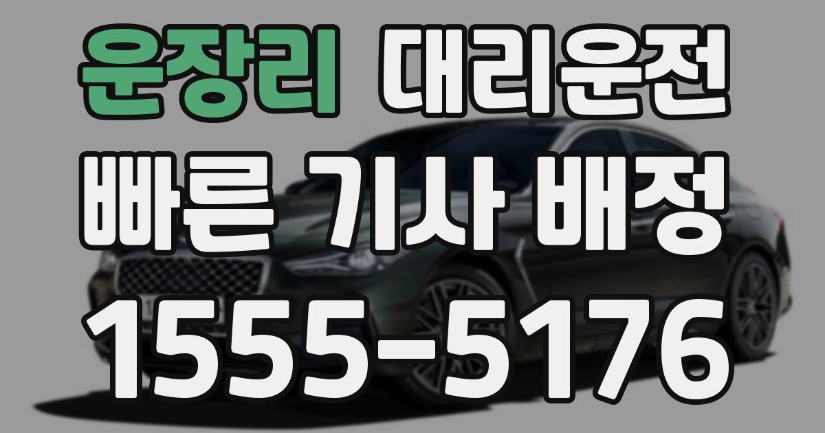 일일대리기사