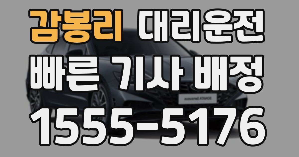 일일대리기사