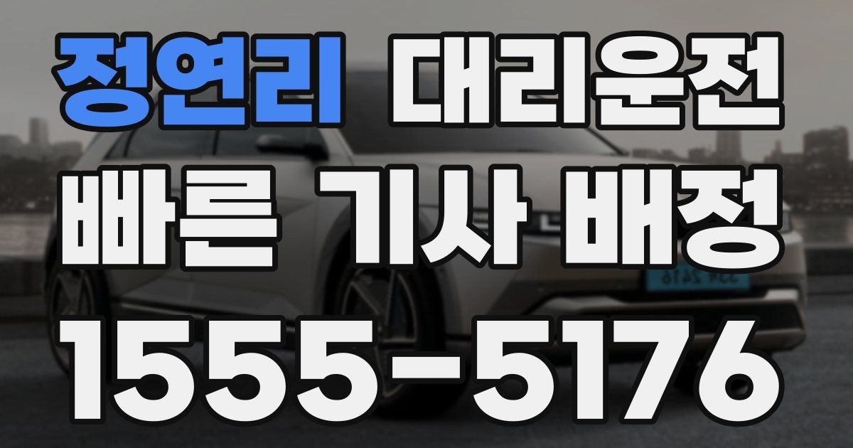 일일대리기사
