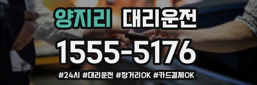 양지리 대리운전