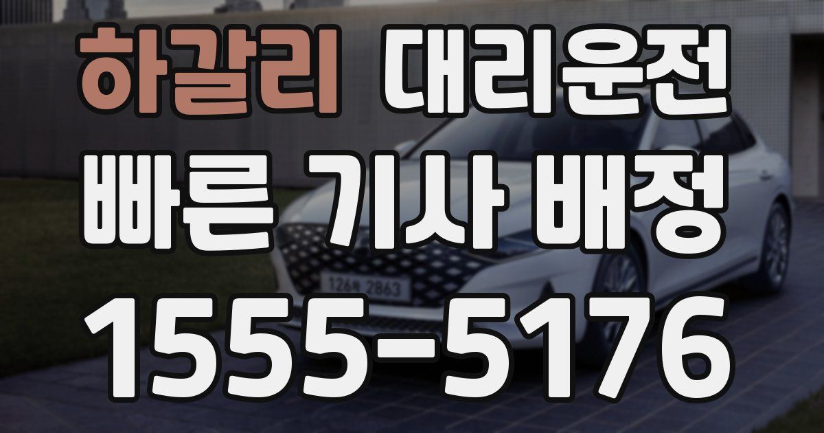 일일대리기사
