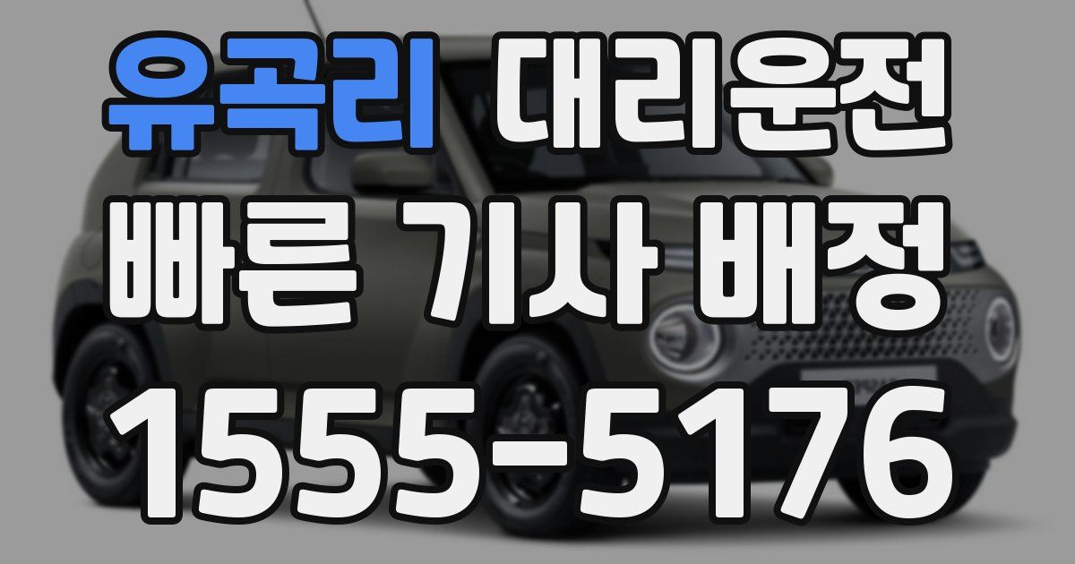 일일대리기사