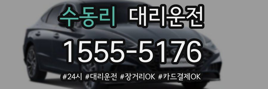 수동리 대리운전