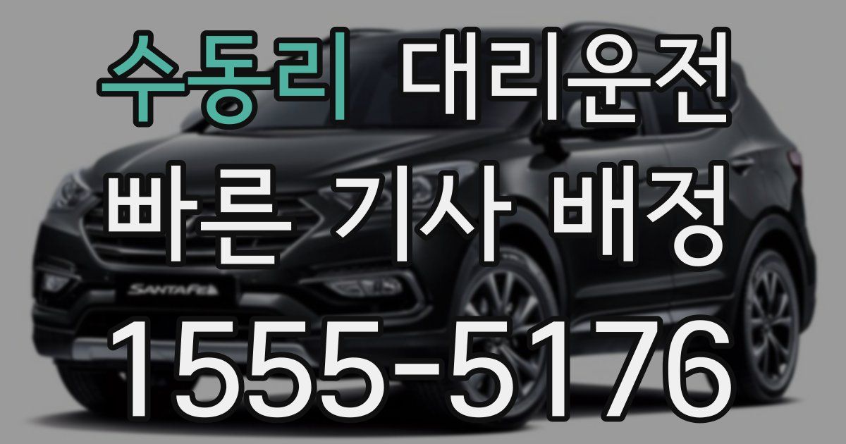 일일대리기사