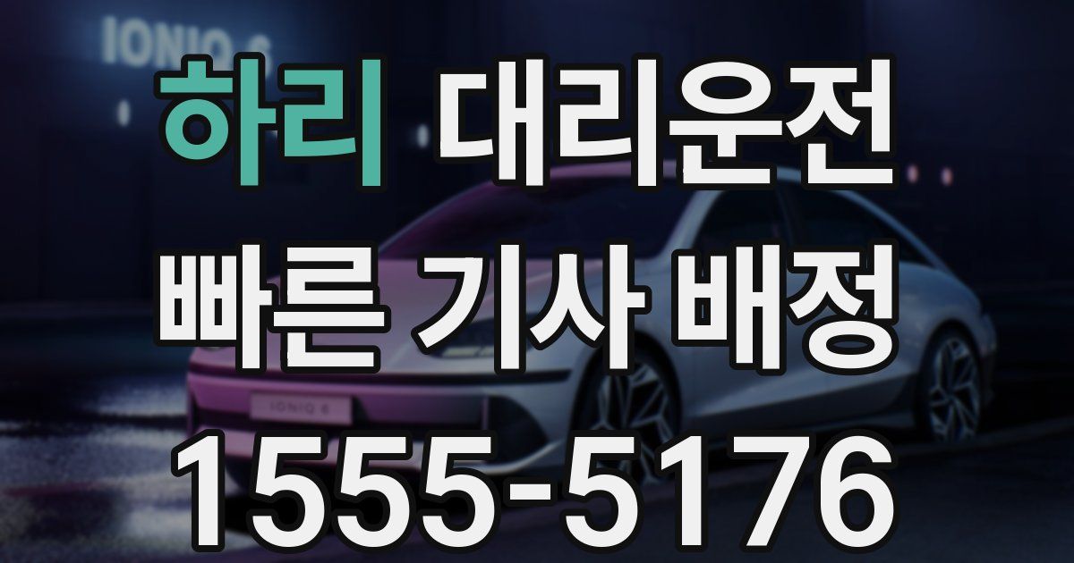 일일대리기사