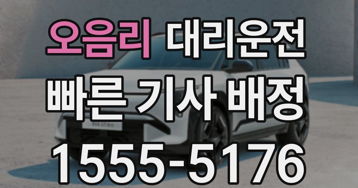 일일대리기사