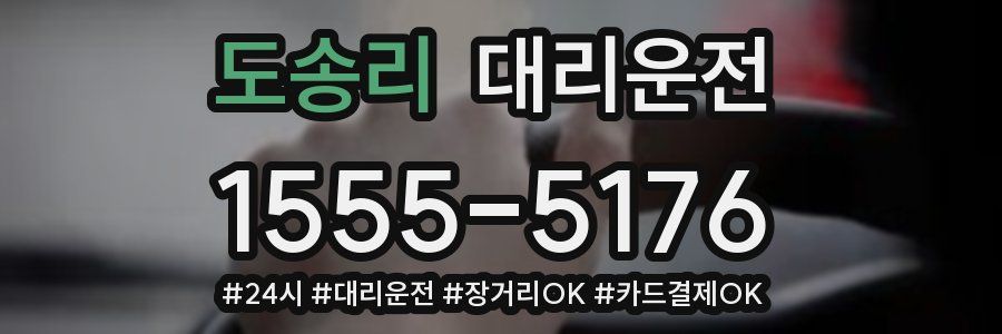 도송리 대리운전