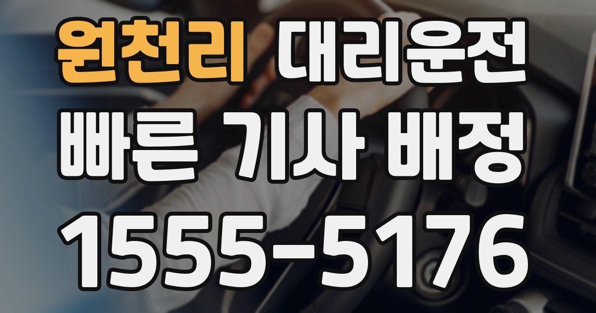 일일대리기사