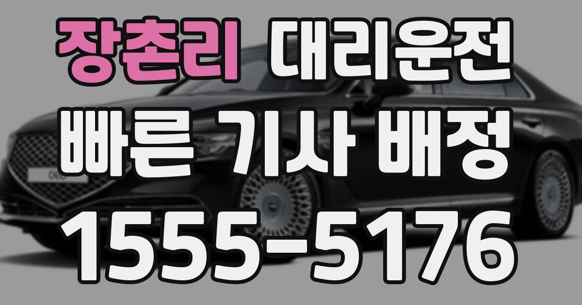 일일대리기사