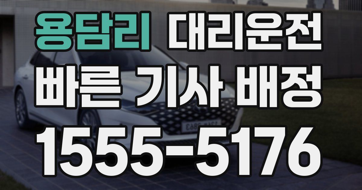 일일대리기사