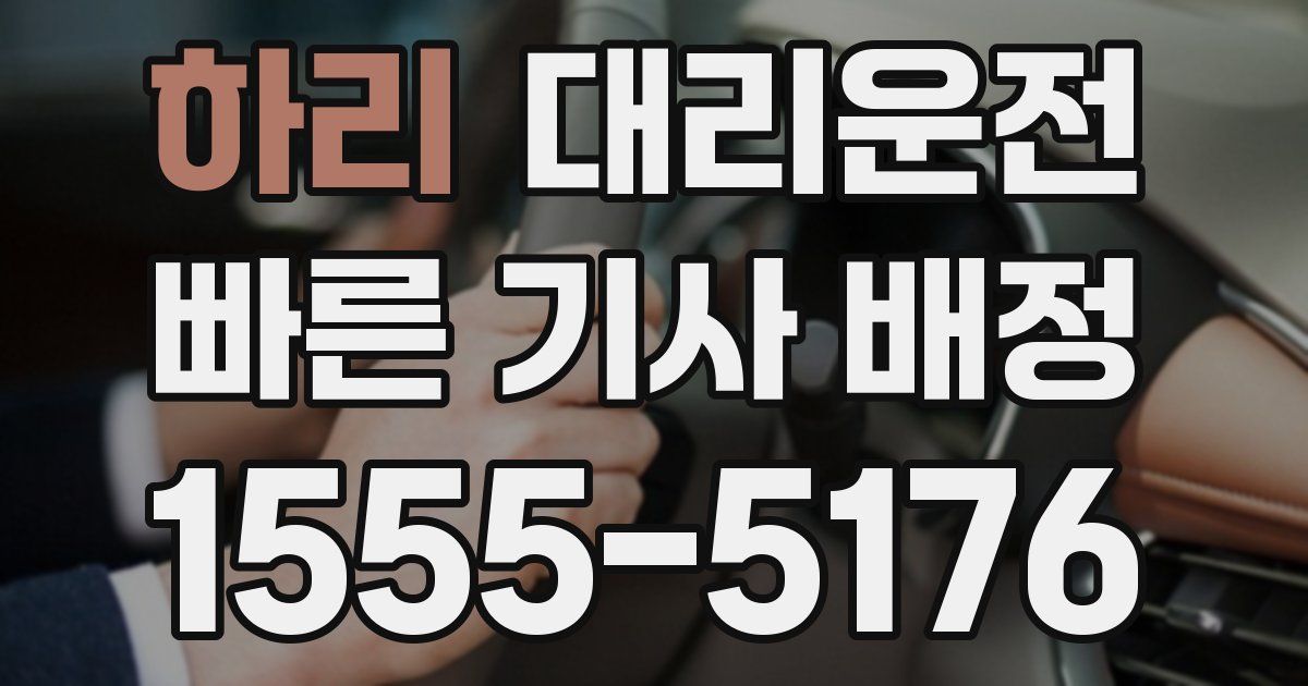 일일대리기사
