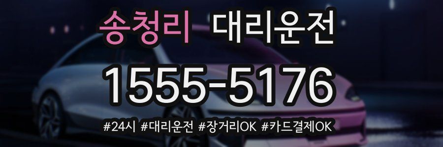 송청리 대리운전