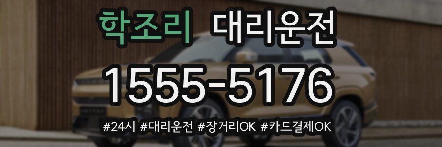 학조리 대리운전