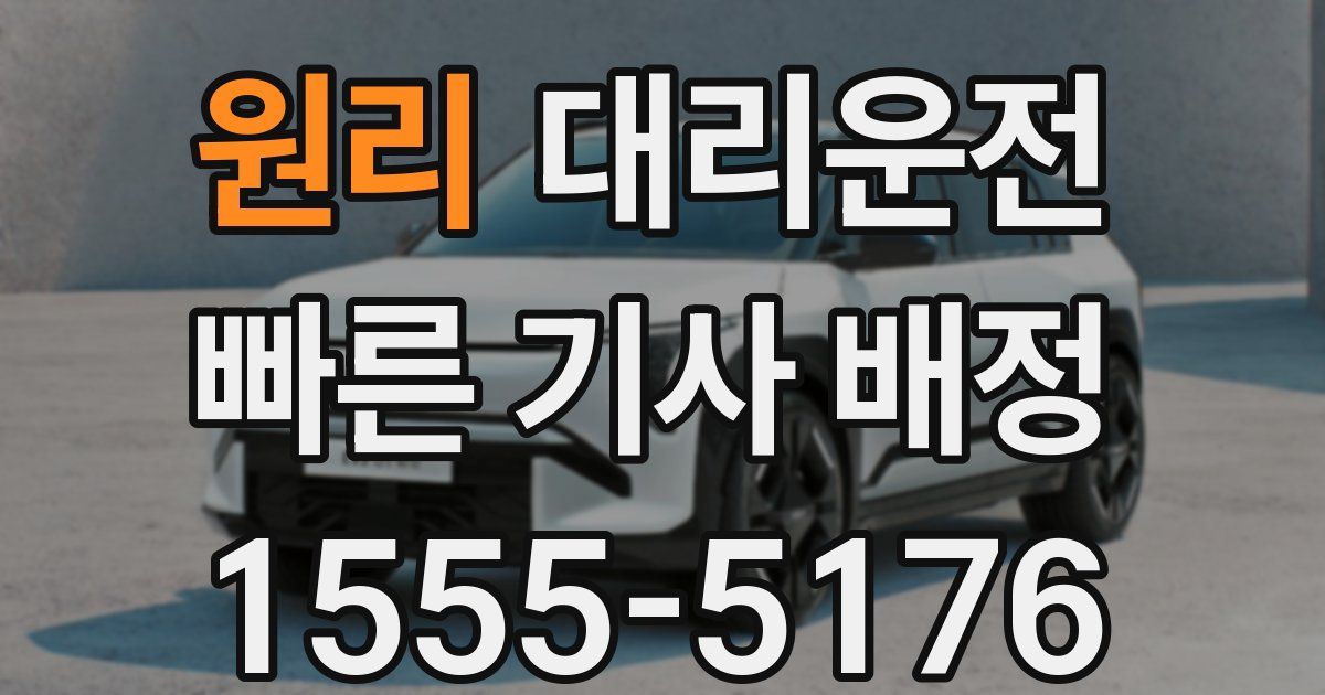 일일대리기사