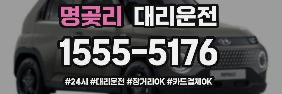 명곶리 대리운전