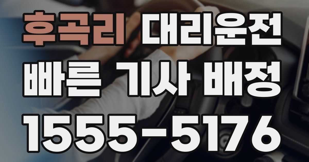 일일대리기사