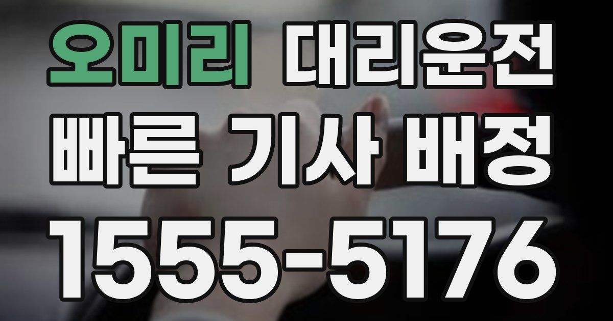 일일대리기사