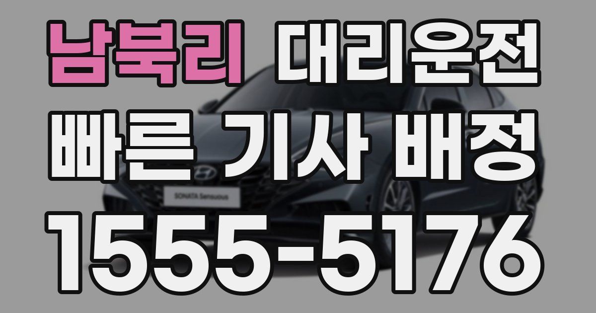 일일대리기사