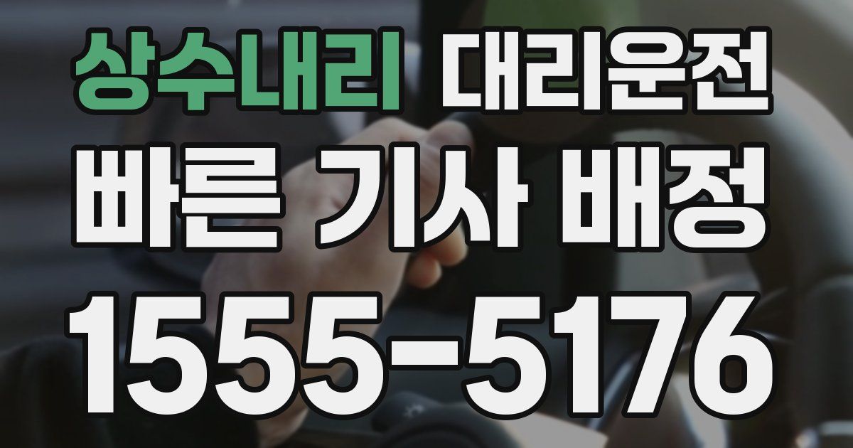 일일대리기사