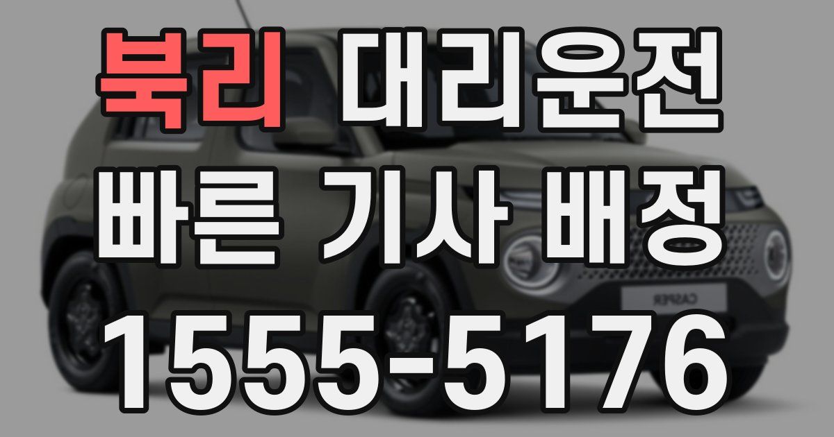 일일대리기사