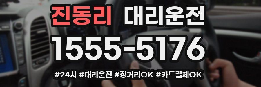 진동리 대리운전